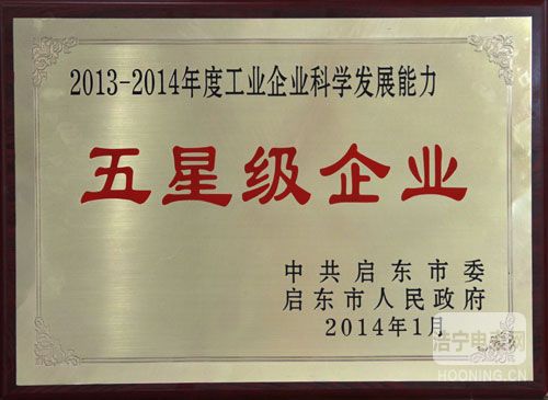 林洋在2013年度啟東市綜合表彰大會(huì)上榮獲多項(xiàng)殊榮