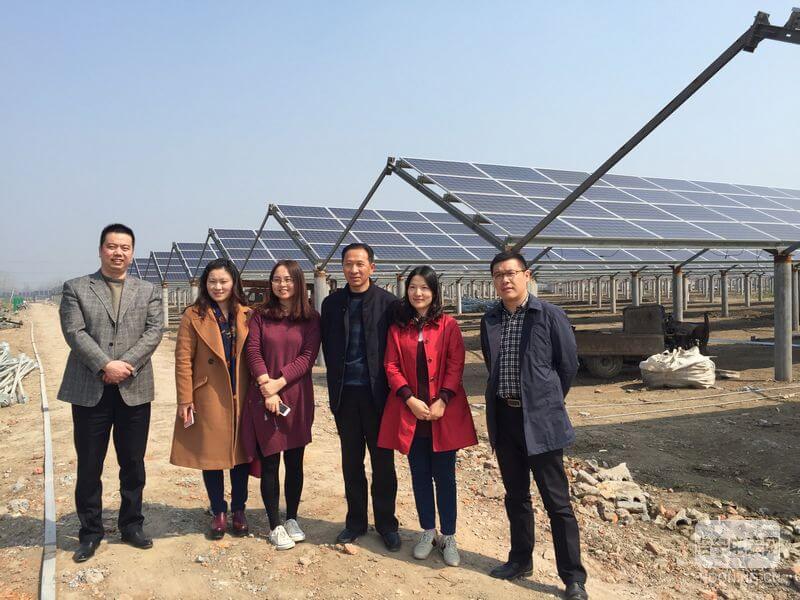虞副總裁一行于阜陽伍明鎮(zhèn)20MW農光互補電站留影
