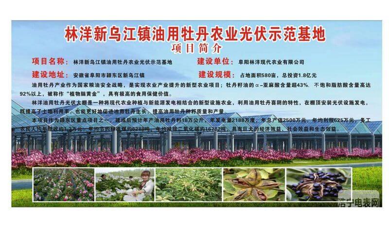 林洋阜陽新烏江鎮(zhèn)20MW農光互補電站項目